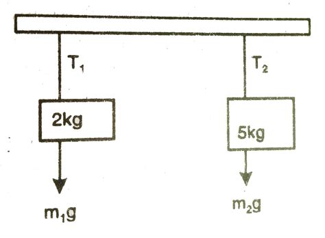 Suppose the rod in the previous problem has a mass of 1 kg distributed ...
