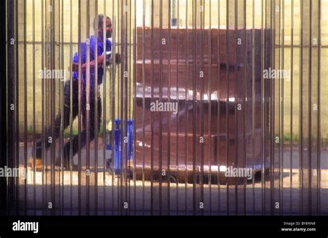 Pushing Boxes 的图像结果