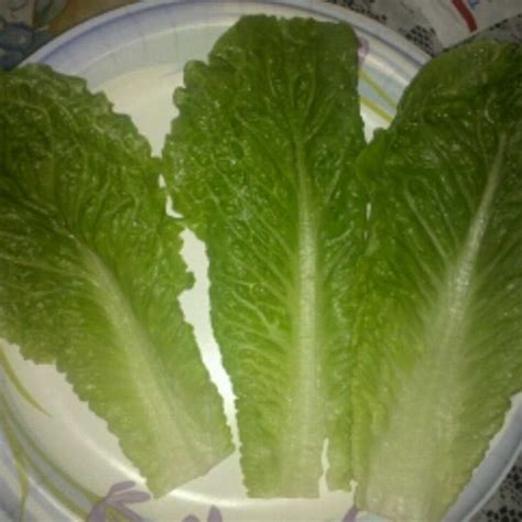 Romaine Lettuce Nutritional Value