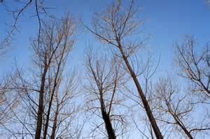 Springfield Mass Weather 的图像结果