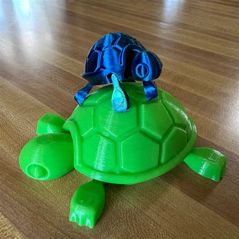 3D Printed Large Cute Baby Turtle Articulated Head and Legs - Etsy