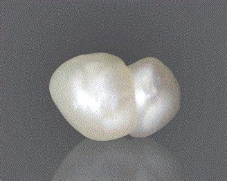 Basra White Golden Pearls Price Per Carat | Basra Pearls Mukta Moti ...