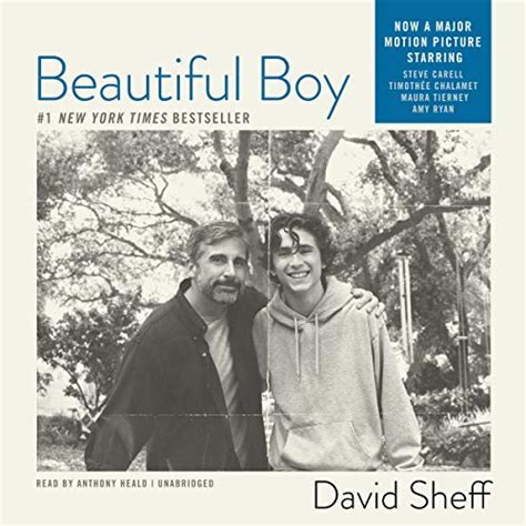 Beautiful Boy: A Father's Journey through His Son's Meth Addiction ...