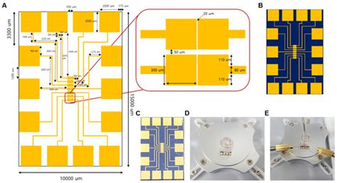 Fabrication of an Electrochemical Aptasensor Composed of ...