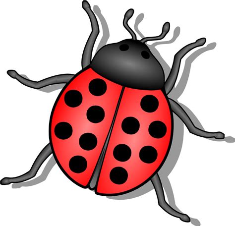 Free Ladybug Black And White Clipart, Download Free Ladybug Black And ...