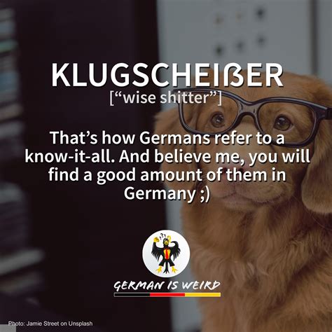 German is Weird - Klugscheißer - Funny German words