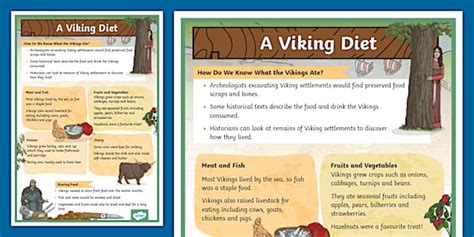 Viking Diet Poster - KS2 - History (teacher made) - Twinkl