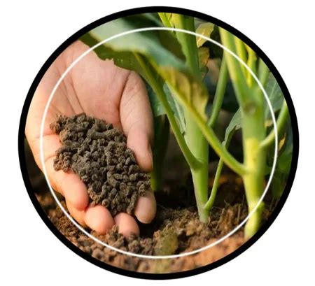 Bio Fertilizer in Noida, Potassium Nitrate Fertilizer in Noida