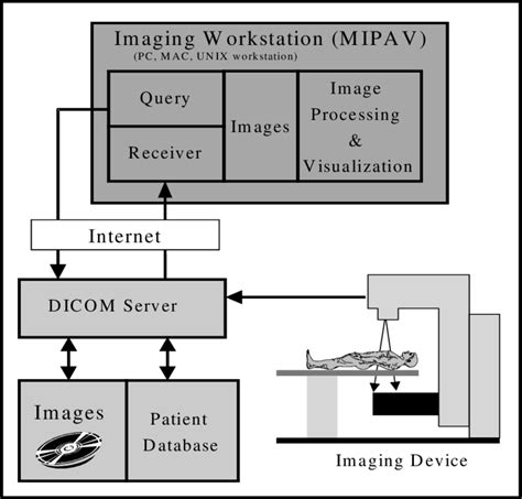 DICOM Query Retrieve Tool 的图像结果