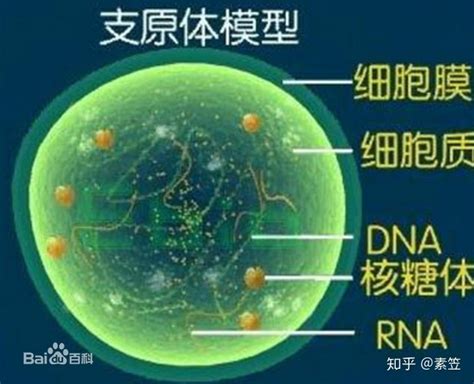 “我是病毒”科学防疫线上专栏_中国数字科技馆
