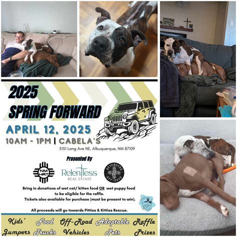 Pitties and Kitties Rescue of New Mexico (@pitties_kittiesrescue) • Instagram photos and videos