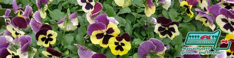 Garden Centers and Nurseries | Mass.gov
