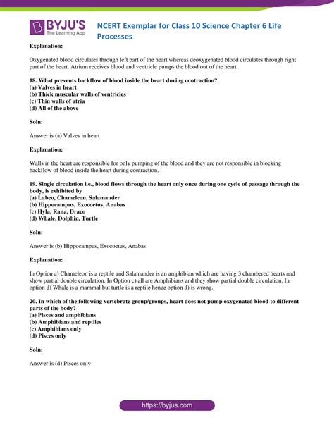 Class 10 Chapter 6 Explained 的图像结果