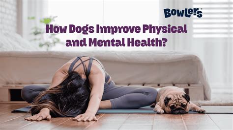 How Dogs Improve Physical & Mental Health | Science and Ayurveda