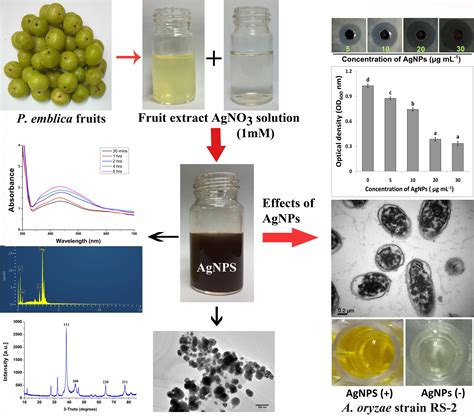 Nanoparticles Synthesis 的图像结果