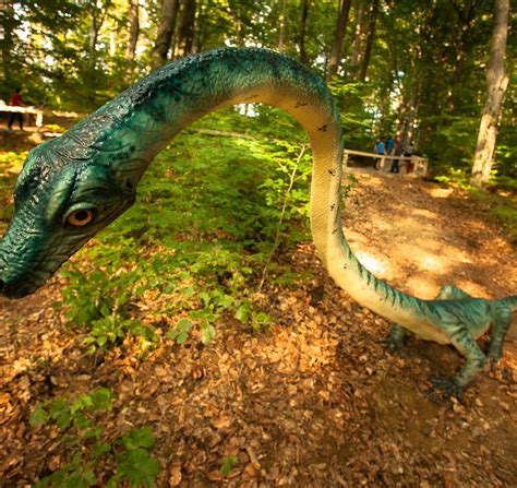 DINO PARC (2025) All You Need to Know BEFORE You Go (with Photos ...