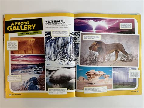 Image result for Reading Text Features