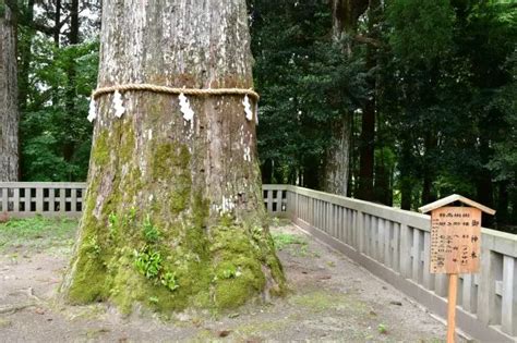 Image result for Modal Programming