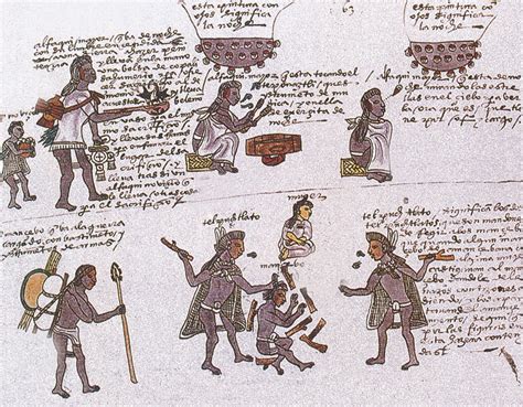 Aztec Learning Student 的图像结果