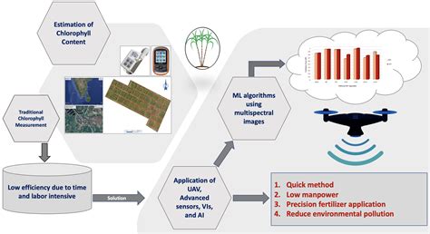 Predicting Canopy Chlorophyll Content in Sugarcane Crops Using Machine ...