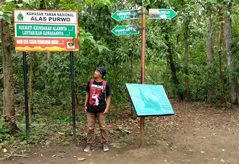 TOUR JAVATROPIS (2025) All You Need to Know BEFORE You Go (with Photos ...