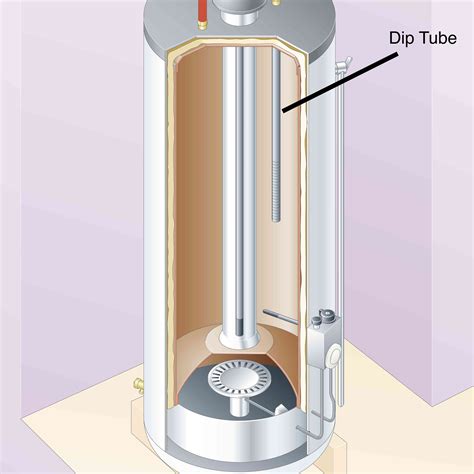 What Is Inside Of A Water Heater at Dakota Betty blog