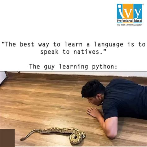 Image result for Python Classes Meme