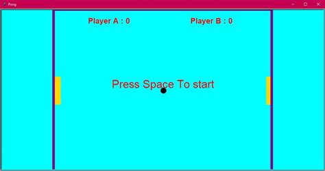 Pong Game in Python 的图像结果