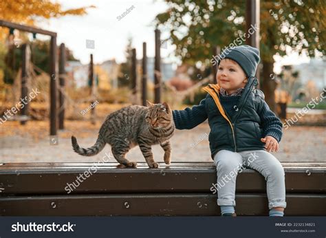 Image result for Cat Walk Models Falling