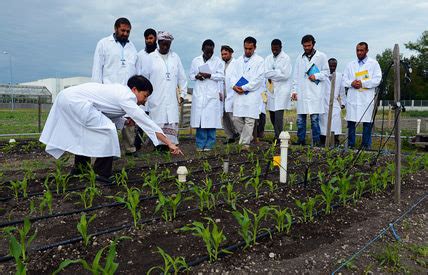 NCCSD INDIA - CSA Climate Smart Agriculture