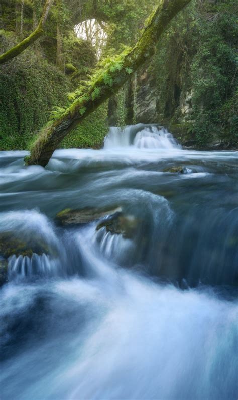 Download wallpaper greens, forest, stones, waterfall, moss, log ...