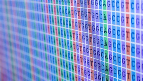 Bioinformatics Modeling 的图像结果