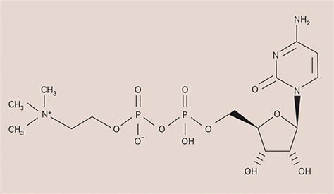 Image result for Modafinilo Benefits