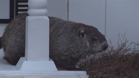 Valerie Wynn appointed Macon-Bibb Mayor Pro Tempore, Seth Clark hints ...