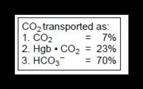 Eou ecules and their interaction rel in animals with lungs, it is an ...