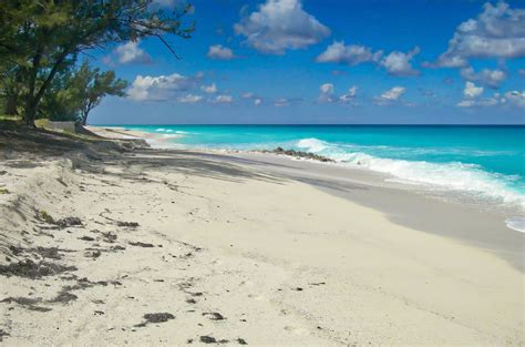 What Is Bimini Island Famous For at Brenda Bradley blog