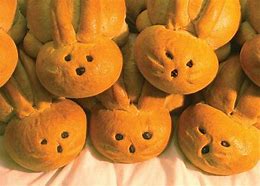 Image result for Lots of Baby Bunnies