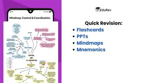 What do you get under EduRev Infinity Package for Class 10? - Social ...