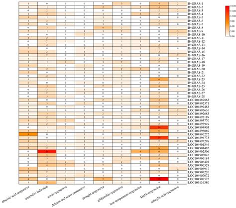 Genome-Wide Identification of GRAS Transcription Factors and Their ...