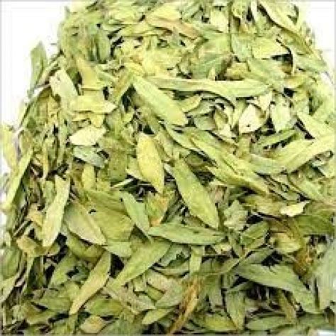 Sinameki bitkisi ( 100 gr ) - ETSİNAMEKİ