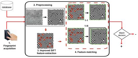 Robust Fingerprint Minutiae Extraction and Matching Based on Improved ...