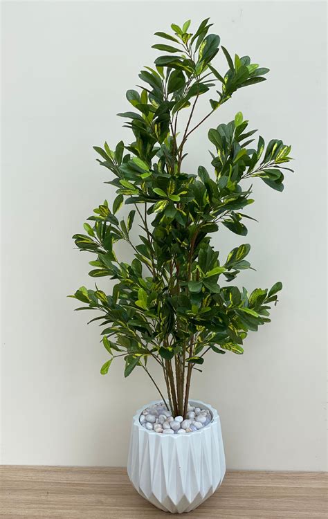 3-4 Feet – Mason Home by Amarsons - Lifestyle & Decor