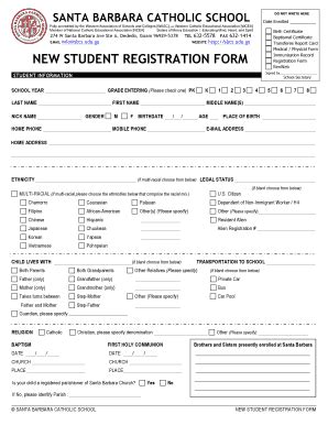 Registration Form School - Fill Online, Printable, Fillable, Blank ...