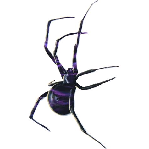 Giant Black Spider | Harry Potter Wiki | Fandom