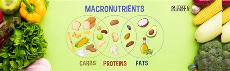Macronutrients Demystified: Exploring Proteins, Carbohydrates, and Fat ...