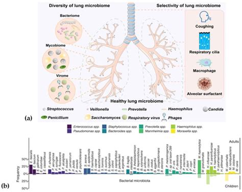 From Microbial Ecology to Clinical Challenges: The Respiratory ...