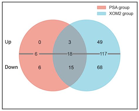 Genome-Wide Transcriptome Analysis of a Virulent sRNA, Trans217, in ...