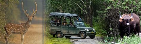 Karnataka Wildlife- Timings, History and Travel Tips | Indianpanorma