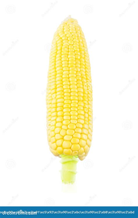 How Much Corn Is In One Ear : How many ears of corn per acre? - Cwtjftgqet