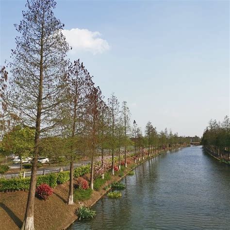 SUYU INN (Shanghai) - Guesthouse Reviews, Photos, Rate Comparison ...